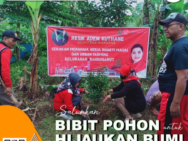 POHON 5